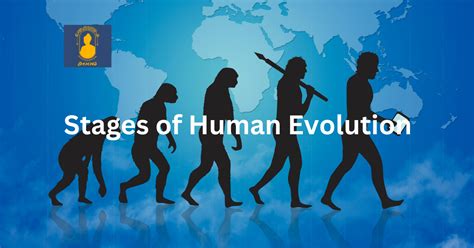 Evolution Stage .